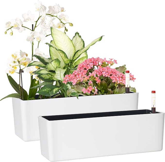 GardenBasix Elongated Self Watering Planter Pots 2-Pack Window Box 5.5 x 16 inch Indoor Home Garden Modern Decorative Planter Pot for All House Plants Flowers Herbs (White,2)