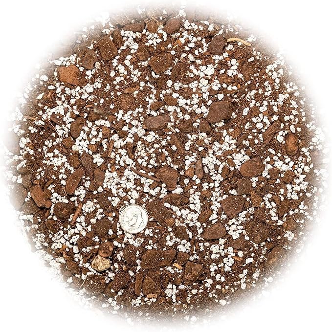 Premium Aloe Vera Potting Soil Mix - 20 Quart - (4 Bags of 5QT)