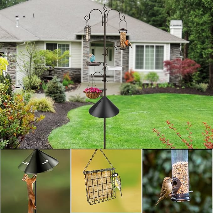 Bird Feeding Station Kit with Squirrel Baffle and Suet Cage Wild Bird Feeder Kit with Mesh Tray, Fruit Hook, and Double W Hook for Attracting Wild Birds