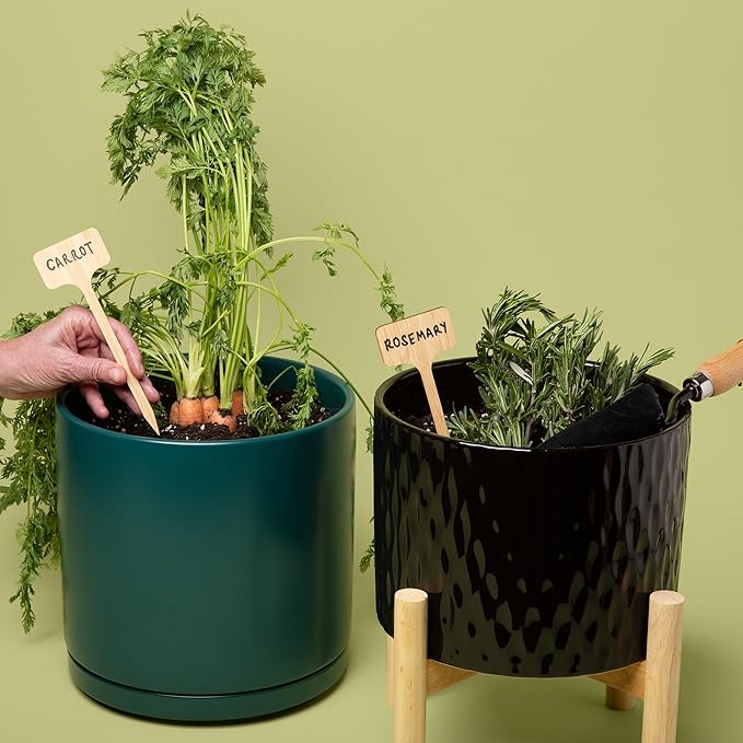 Bamboo Plant Stakes, 50pcs, Extra Long Plant Labels (2.25" x 1.5" x 7"), Bamboo Garden Signs, 50 pcs Plant Tags, Plant Identifications Stakes, Plant Markers