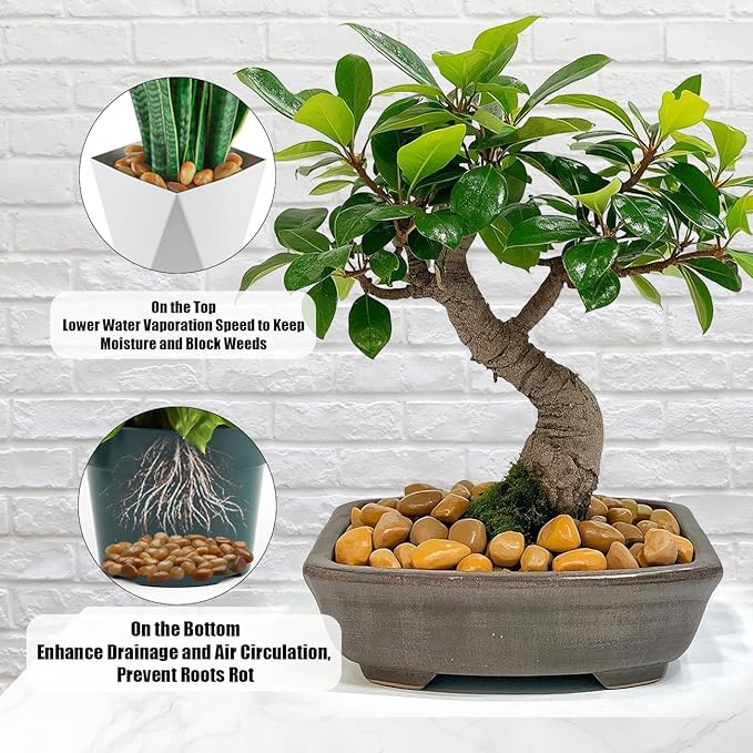 5 Lbs River Rocks for Plants,0.8-1.5 Inch Decorative Ornamental Pebbels, High Polished Stones for Garden Landscaping, Smooth Gravel Filler for Outdoor Plants, Succulents, Fish Tank and Vases, Yellow