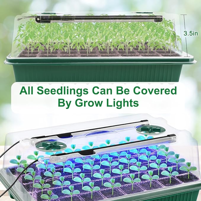 2 Packs Starter Tray with Grow Light, 80 Cells Seed Starter Kits with Humidity Dome and Base Plant Germination Seedling Starter Kit with Smart Timer for Indoor Greenhouse Wheatgrass Hydroponic