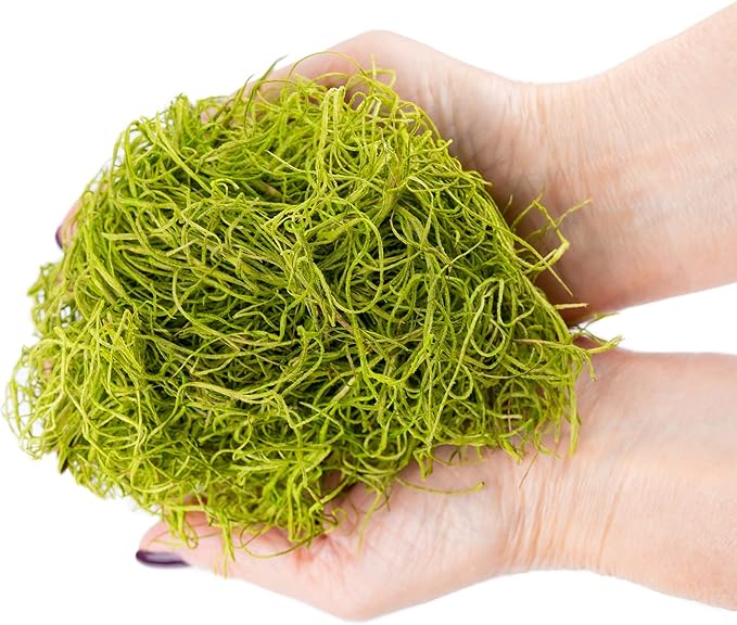 Premium Spanish Moss in Spring Green| Natural Preserved - Great Ground Cover - Filler for Potted Plants - by GARDENERA - 1 Quart Bag
