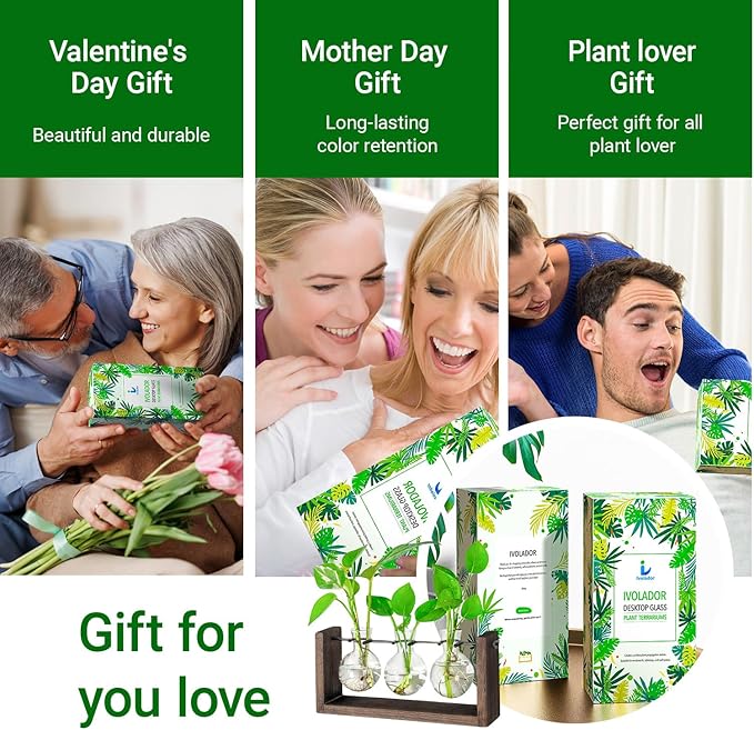 Ivolador Wall Hanging Plant Propagation Station,Bulb Plant Terrarium with Wooden Stand,Unique Gardening Gifts for Women Plant Lovers,Hydroponic Indoor Planter Home Office Decor-3 Bulb Glass Vases