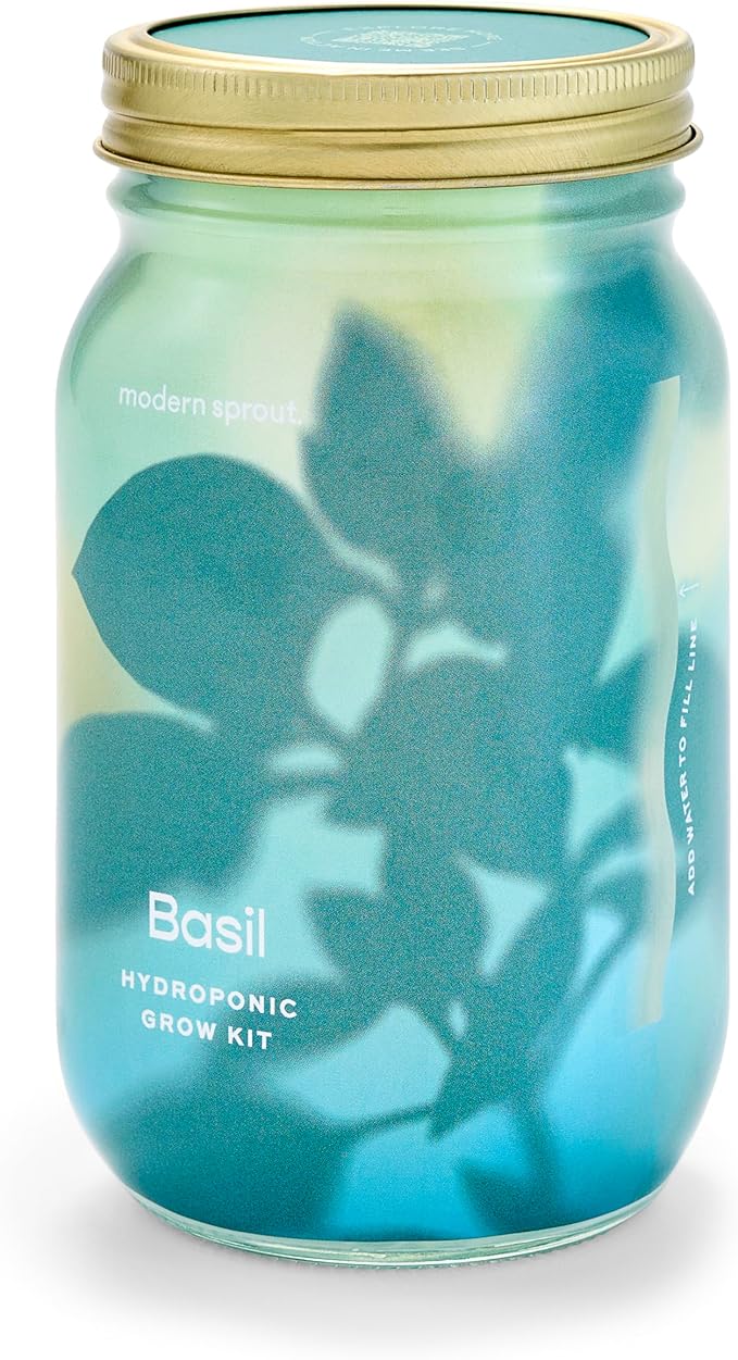 Modern Sprout Mason Garden Jar - Self-Watering Hydroponics Growing System Kit with Organic Herb Seeds - Jar Planter for Indoor Herb Garden - Seed Starter Kit - Home Decor & Gifting - Basil