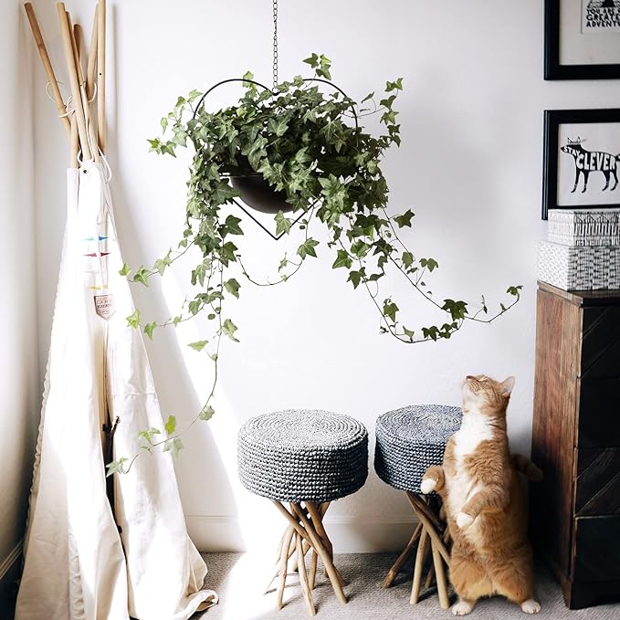 Hajia 2 Pack Heart Shaped Hanging Plant Holder with 7.5inch Detachable Pot, Black Metal Modern Hanging Planter for Indoor Outdoor, Minimalist Wall Ceiling Plant Hanger for Home Wedding Decor