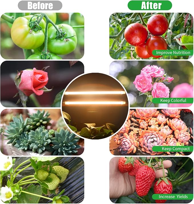 Two Strip Growing Lamp 2-Pack for Indoor Plants, 3000K Full Spectrum LED Grow Light Strips with Auto ON/Off 3/9/12H Timer & 10 Dimmable Levels for Green House Succulent (2 Head×2pcs)