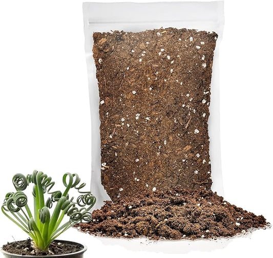Premium Albuca Spiralis Potting Soil Mix - Perfect Balance of Nutrients, Drainage, and Aeration for Thriving Blooms - 5 Quart