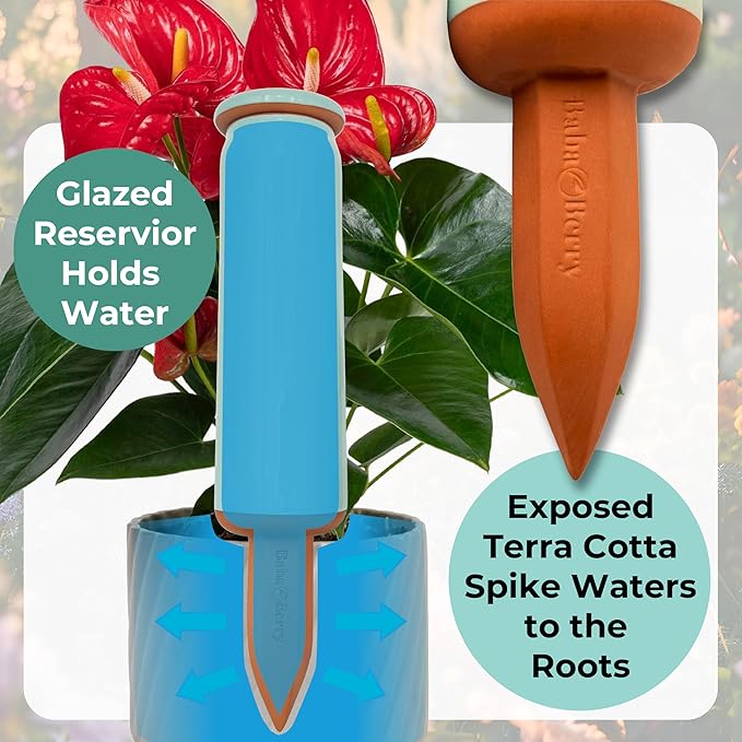 Terracotta Watering Spikes 2 Pack 17.5oz Capacity Plant Watering Devices Self Watering Spikes Large Plant Watering Globes Self Watering Planter Insert AcquaTerra with Root Dibber Installer