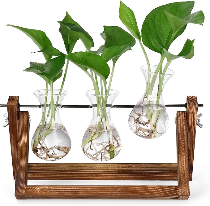 YIBOT Propagation Stations,Plant Terrarium with Retro Wooden Stand, Unique Gardening Birthday Gifts for Women Plant Lovers, Hydroponics Plants Home Office Garden Decor - 3 Bulb Glass Vases