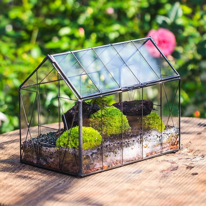 NCYP Geometric Glass Terrarium with Lid for Succulent, Small Cactus - Handmade Clear Closed House Shape Box - Home Indoor Tabletop Garden Decor, Black 9.4" x 5.5" x 7.3" (No Plants)