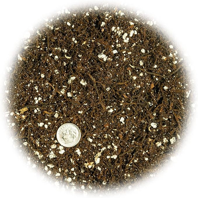 Fern + Perlite Soil Mix for Repotting and Planting Succulents and Cactuses - 5 Quart Bag