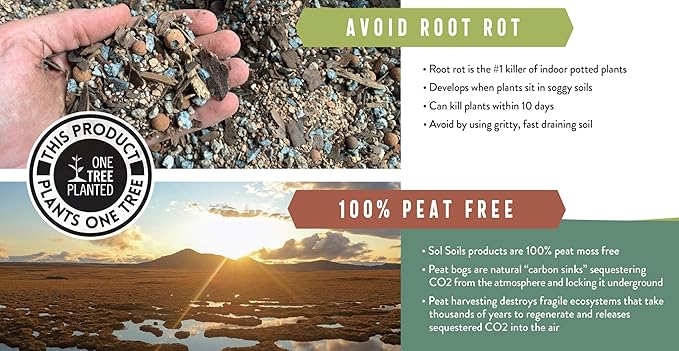 Sol Soils Cactus Gritty Mix (1 Gallon)