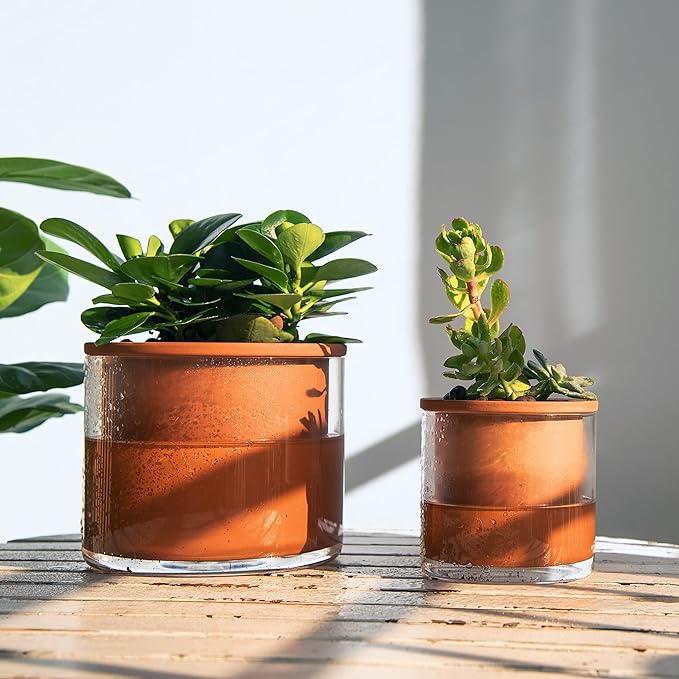 Phoenix Vine 4 Inch Self Watering Plants Pot, Design Terracotta Pot for Plants, Indoor Cylinder Terra Cotta Planter with Glass Vase, Set of 4, 51-A-E-4