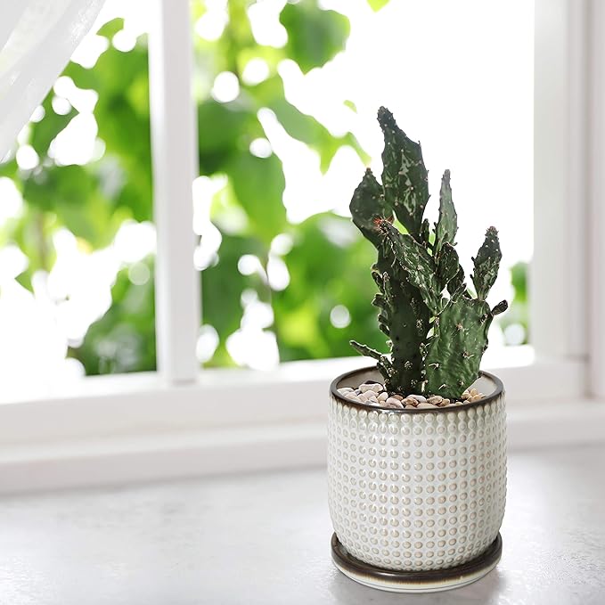 D'vine Dev Set of 2 Ceramic Plants Pots, 4 Inch Beaded Stoneware Flower Pot for Plants with Drainage Hole and Saucer, Smoked White, 27-E-Z-1