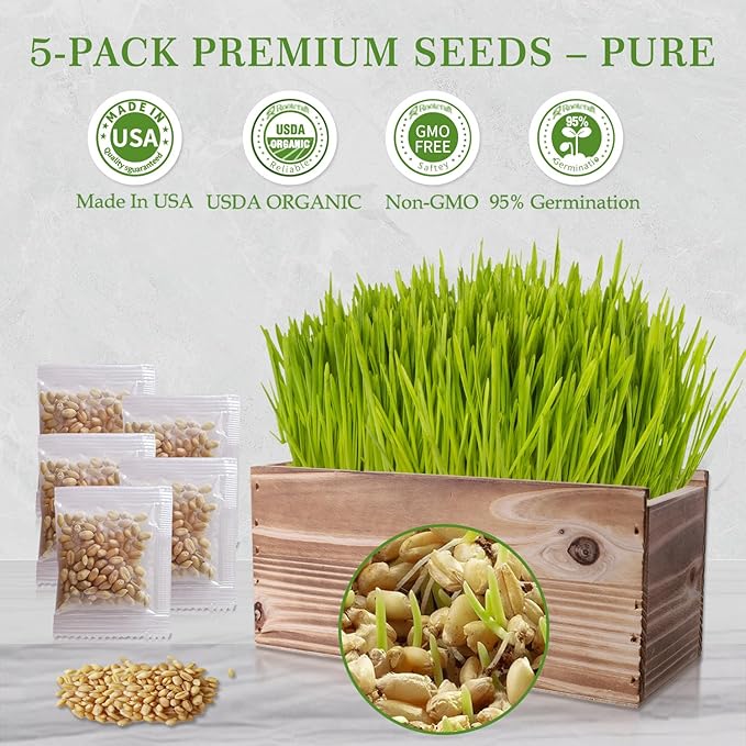 Cat Grass Kit for Indoor Cats - 5X Seed Packets with Handmade Wood Planter | Grow Organic Non-GMO Wheat Grass in 4-7 Days, Aids Digestion & Hairball Control, Ideal Gift for Cat Lovers