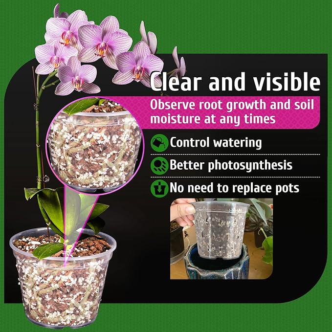 REMIAWY Orchid Pot, 8 Pack Orchid Pots with Holes and Saucers, 5.5 Inch Clear Plastic Flower Planters for Repotting Indoor Outdoor, Breathable Slotted Nursery Planter