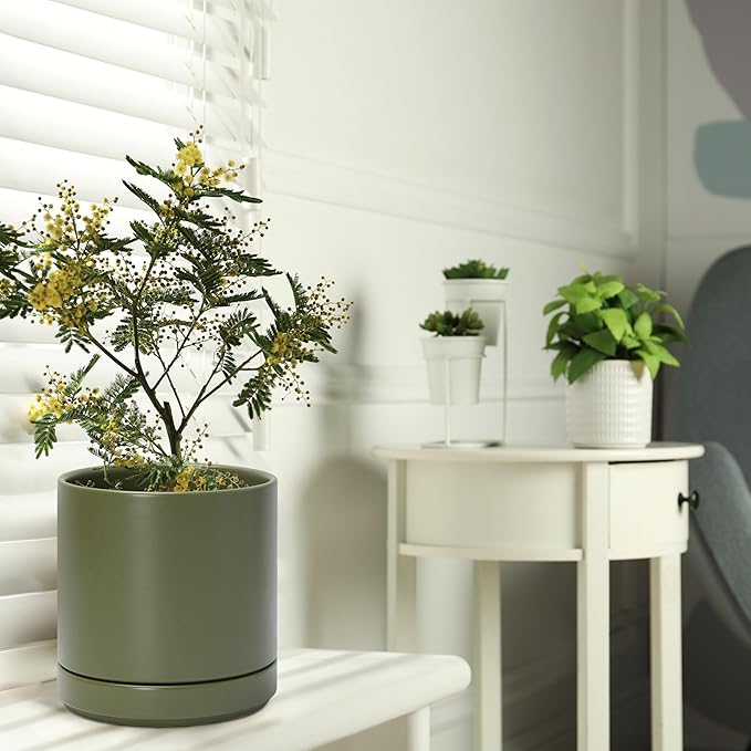 D'vine Dev 6 Inch Ceramic Planter Pot with Drainage Hole and Saucer, Indoor Cylinder Round Planter Pot, Olive, 94-O-C-J