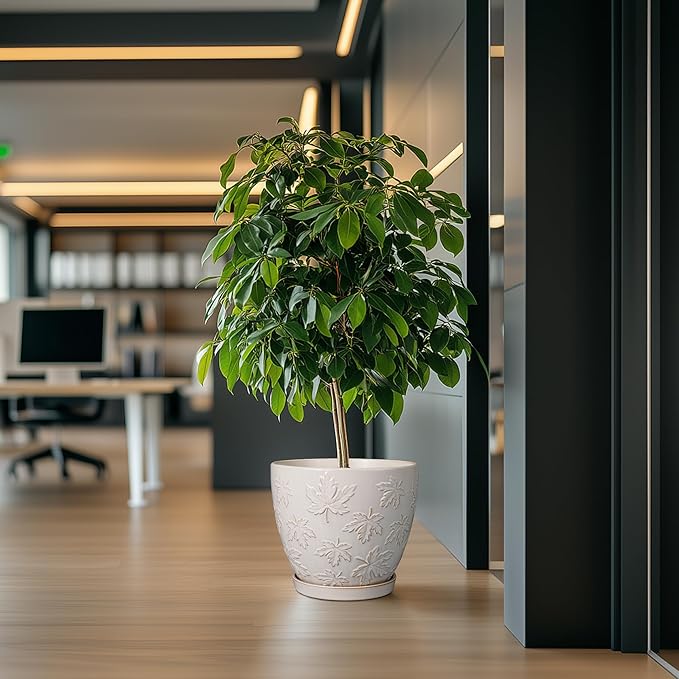 Pots for Plants 10 Inch - Ceramic Planter Large Plant Pot for Indoor Plants Outdoor Round Flower Pot with Drainage Hole and Saucer Home Garden Decor White