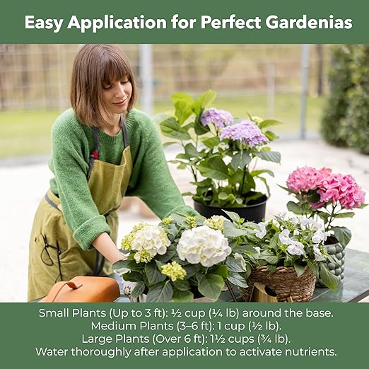 Slow Release Hydrangea Fertilizer with Iron & Sulfur – Indoor & Outdoor Soil Acidifier for Miracle Growth (3 qt)