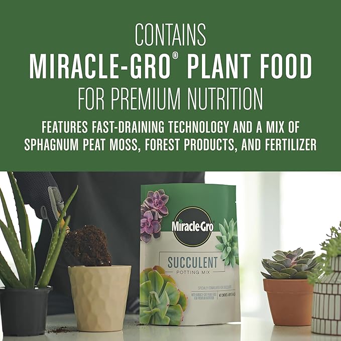 Miracle-Gro Succulent Potting Mix, For Indoor Succulents, Aloe Vera and More, Made with Miracle-Gro Plant Food, 4 qt
