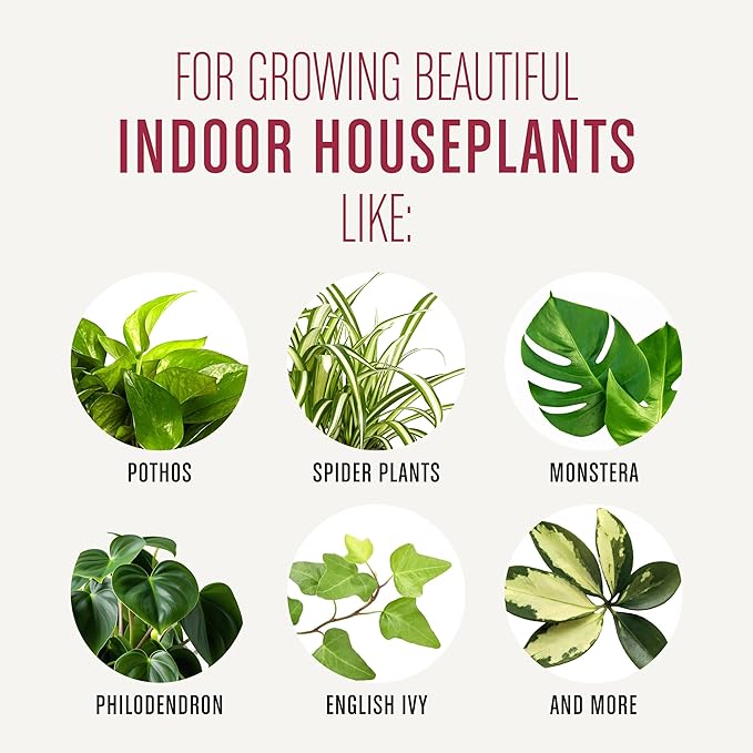 Miracle-Gro Houseplant Potting Mix: Fertilized, Perlite Soil for Indoor Gardening, Designed to Be Less Prone to Gnats, 4 qt.