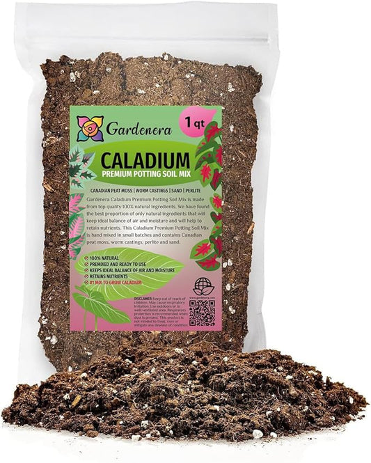 Premium Caladium Plant Potting Mix - Crafted for Vibrant Growth and Striking Color - 1 Quart