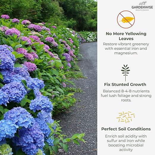Slow Release Hydrangea Fertilizer with Iron & Sulfur – Indoor & Outdoor Soil Acidifier for Miracle Growth (12 oz)