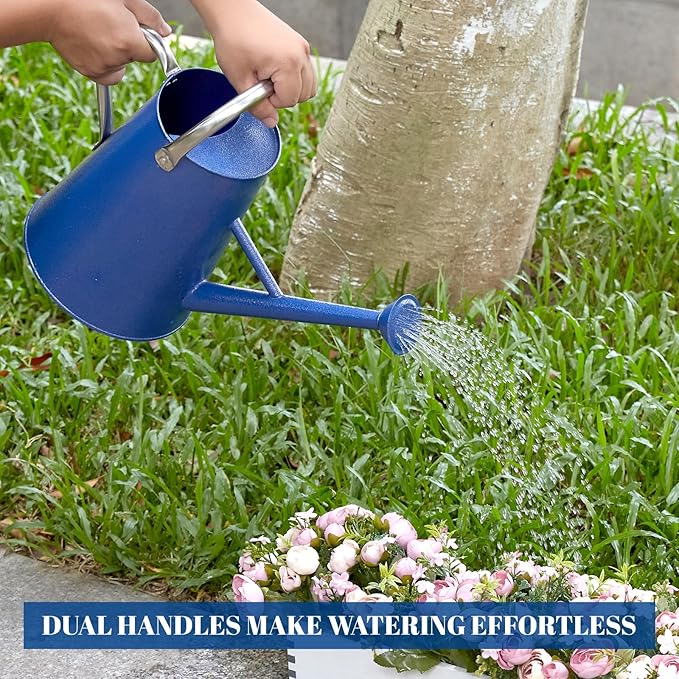 1.5 Gallon Watering Can for Outdoor Plants,Large Metal Plant Watering Pot with Removable Spout,Flower Garden Water Can Watering Pot,Galvanized Steel Watering Can with Stainless Steel Handles，Navy