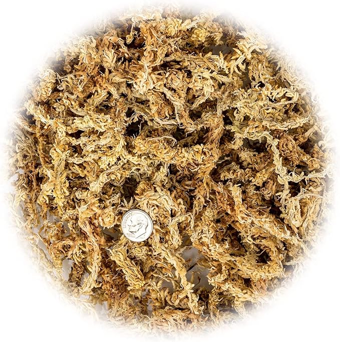 Premium Grade Sphagnum Moss by Gardenera - 10 Quart - Organic Hand Mixed New Zealand Long Fibered Sphagnum Moss Orchid - 2 Bags of 5 Quart