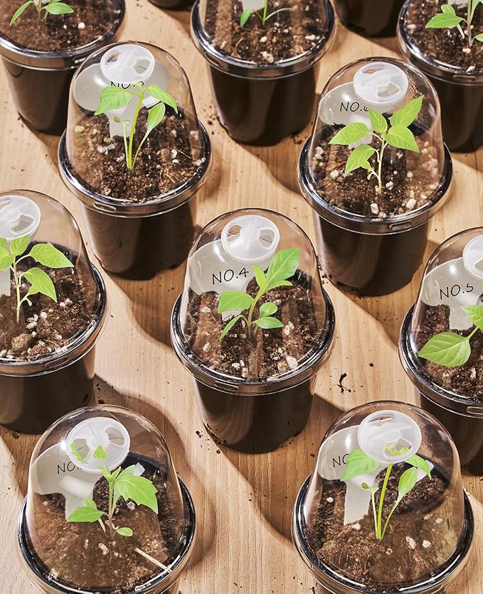 homenote Nursery Pots for Plants,3/4/5 Inch Plant Pot for Planting with Humidity Domes Plastic Seedling with Drainage Holes Seed Starter Flower with 10 Labels Black (15 Pack)