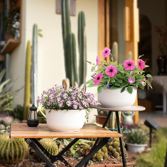 T4U Plant Pots 8 Inch, 2 Pack Self Watering Indoor Planter with Drainage Hole, Shallow Plant Pot, Home Decor Flower Pots for Plants, Herbs, Garden, White