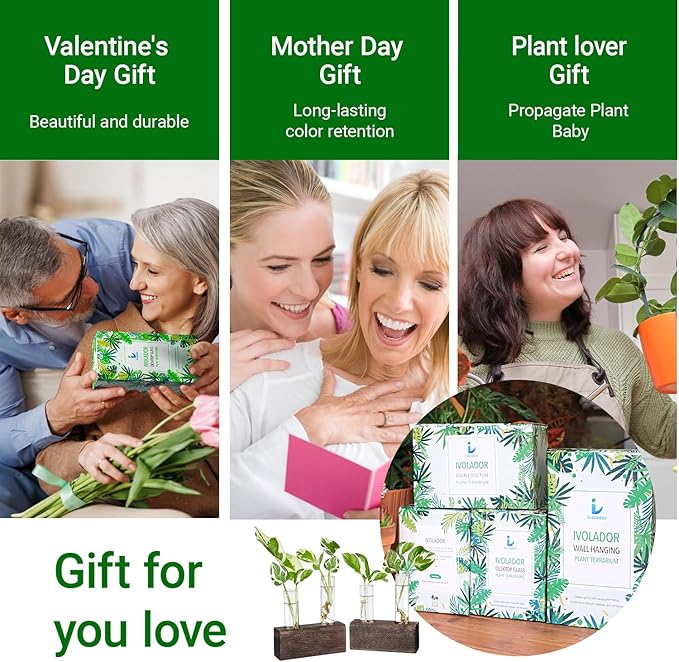 Ivolador Plant Propagation Stations 4 Test Tube Plants Terrariums in Wooden Stand Gifts for Plant Lovers for Hydroponic Plants Office Home Decor Hydroponic Vase Gift Box 2 Sets