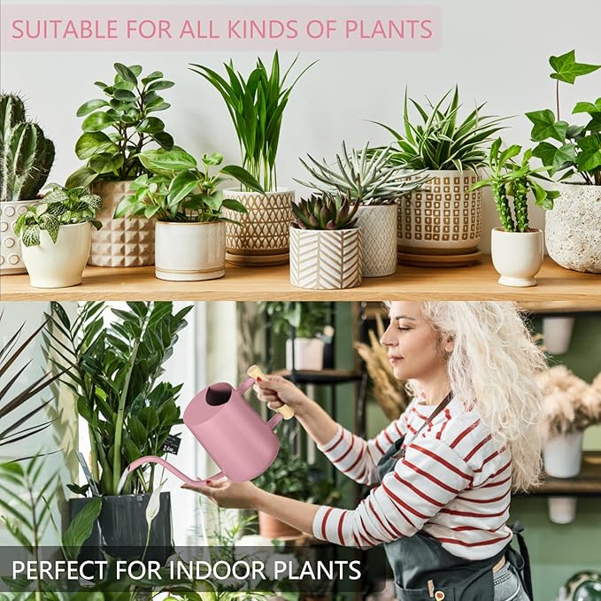 Watering Can Indoor Plants, 35oz Small Watering Can Indoor Stainless Steel Metal Watering Can Modern Decorative Watering Pot with Long Spout for Indoor House Plant Bonsai Garden Flowers (Pink)
