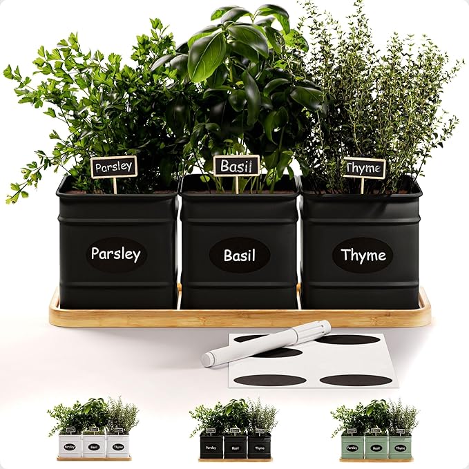 Herb Planter Indoor - 3 Iron Herb Pots with Drainage Holes, Varnished Bamboo Tray, Customizable Labels & Marker Pen - Indoor Herb Garden Planter - 3 Pots for Herbs - Inside Spice Garden - Basil Pot