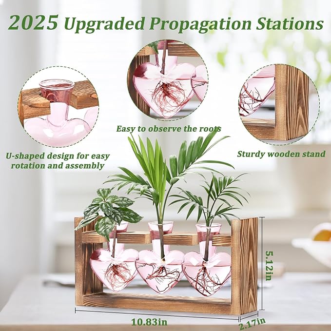 Lifecapido Heart Shaped Propagation Stations, Plant Terrarium with Wooden Stand, Plant Propagation Station for Hydroponics Plants Office Garden Home Decor, Gifts for Women Plant Lover (3 Vases, Pink)