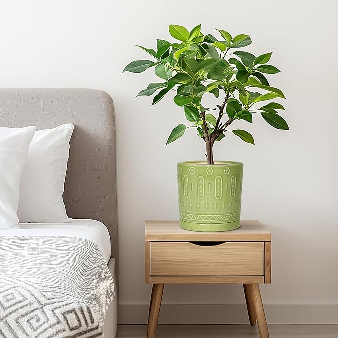 Ceramic Pot for Plants - 6 Inch Indoor Planter with Drainage Hole and Saucer, Round Decorative Flower Pots Outdoor, Boho Succulent Planter, Garden Home Decor, Gifts for Plant Lover, Green