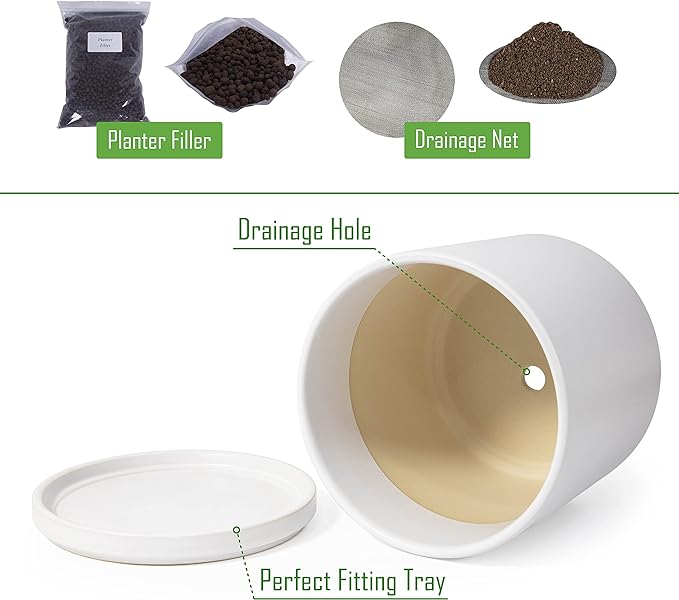 D'vine Dev 8 Inch Ceramic Planter Pot with Drainage Hole and Saucer, Indoor Cylinder Round Planter Pot, White, 94-O-D-1