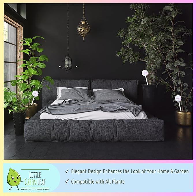 LGL Plant Watering Globes - Automatic Self Watering Globes. Decorative Self Watering Planter Inserts Made From Hand-Blown Durable Glass. Self Watering Spikes to Support Plant Health. 2 Pack, Medium.