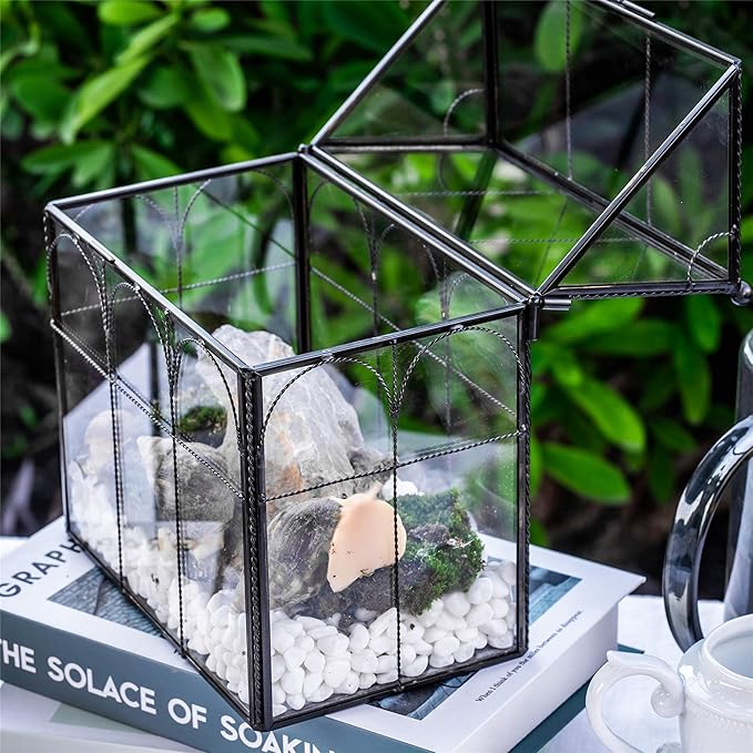 NCYP Black Glass Terrarium with Lid, Indoor Geometric Planter for Cacti, Air Plants, Succulents, Insect, Snail, House Shape Closed Box 7.5" x 4.9" x 9" (No Plant Included)