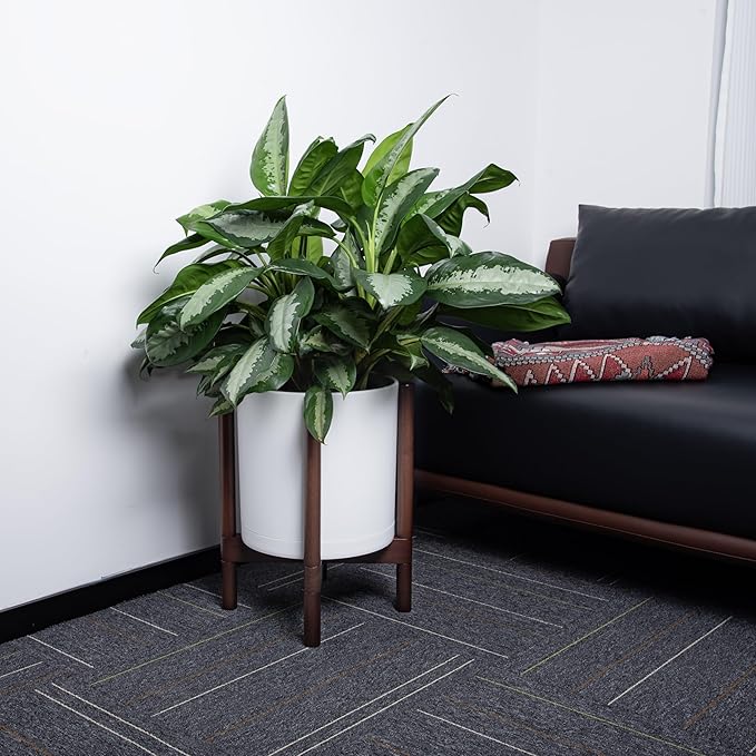 D'vine Dev Planter with Stand - 12 Inch Plastic Cylinder Flower Pot with Wood Holder for Indoor, Matte White Pot + Walnut Color Stand, 55-C-O-1