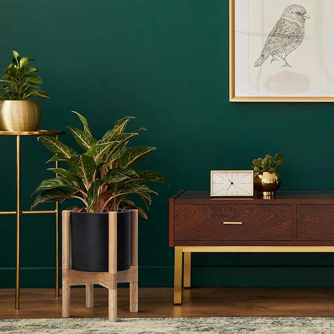 D'vine Dev Planter Pot with Stand - 8 Inch Plastic Cylinder Flower Pot with Wood Planter Holder for Indoor, Matte Black Pot + Natural Stand, 55-C-J-2