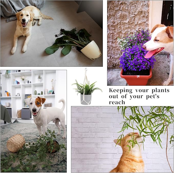 Macrame Plant Hanger, 2 Pack Boho Hanging Planters Baskets for Indoor Plants Decorative Braided Cotton Rope Flower Pot Holder with Metal Hook Rings for Outdoor Home Decor, No Tassels, Ivory, 20 Inchs