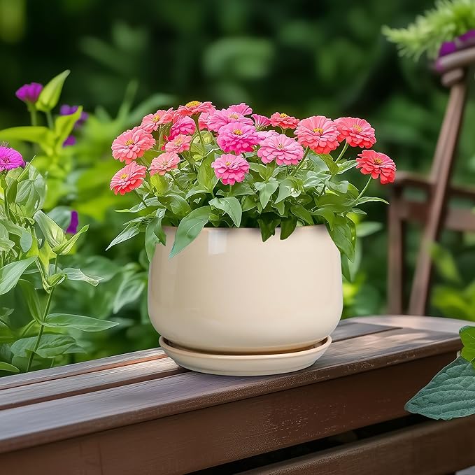 G EPGardening Ceramic Pot for Plants - 6 Inch Planter with Drainage and Ceramic Saucer, Flower Pots for Indoor Plants, Modern Outdoor Planter, Home Decor, Gift for Women Men, Beige