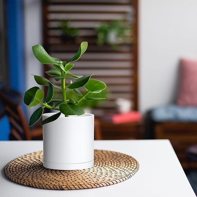 D'vine Dev 2 Pack 5 Inch Modern Plastic Plant Pots, Small Garden Planters for Plant with Drainage Holes and Saucers, White Color, 74-Z-G-1