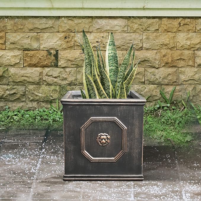 Kante Square Lion Head Concrete Planter, Classic English Style Plant Pot with Drainage Hole and Rubber Plug for Indoor Outdoor Garden Patio Home, 12.6"x12.6"x12.6" Oil Rubbed Bronze