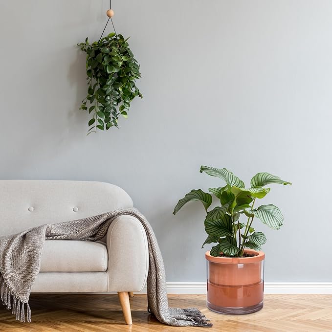 Phoenix Vine 10 Inch Self Watering Planter, White Terracotta Pot for Plants, Indoor Cylinder Terra Cotta Pot with Glass Vase