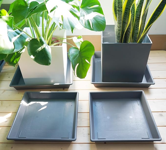 Square Plant Saucer 12 Inch 5 Pack, Plant Stand Plant Trays for Pots Heavy Duty Gray Plastic Plant Saucers for Indoors Outdoors, Flower Pot No Holes Plant Lover Gardening Gifts
