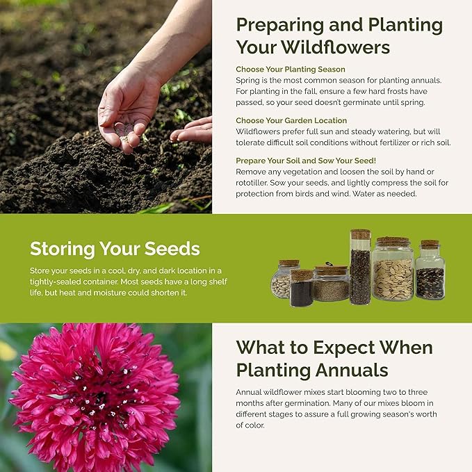 Eden Brothers Pink Perfection Flower Mixed Seeds for Planting, 5 lb, 2,400,000+ Seeds with Zinnia, Cosmos Versailles | Attracts Pollinators, Plant in Spring or Fall, Zones 3, 4, 5, 6, 7, 8, 9, 10