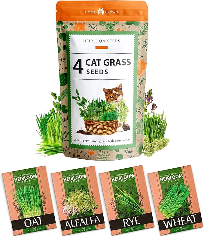 HOME GROWN Cat Grass Seed Mix – Non-GMO Oat, Alfalfa, Rye & Wheat Seeds for Cats | Indoor Pet Grass with Fast Germination | Digestive Aid, Hairball Relief & Safe Chew Alternative